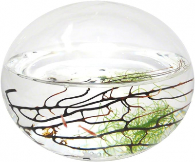 EcoSphere